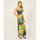 Vêtements Femme Robes Silvian Heach Robe longue fleurie  avec col en V Multicolore