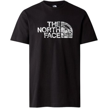 Vêtements Homme T-shirts manches courtes The North Face NF0A87NXJK31 Noir
