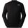 Vêtements Femme Sweats The North Face NF0A87EU M GRAPHIC CREW 3-JK3 BLACK Noir