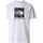 Vêtements Homme T-shirts & Polos The North Face NF0A87NJ M SS RAGLAN REDBOX TEE-ZI5 WHITE Blanc