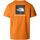 Vêtements Homme T-shirts & Polos The North Face NF0A87NP M SS BOX NSE TEE-PCO ORANGE Orange