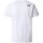 Vêtements Homme T-shirts & Polos The North Face NF0A87NS M SS NSE TEE-FN4 WHITE Blanc