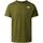 Vêtements Homme T-shirts & Polos The North Face NF0A8830 M FOUDATION MOUNT. TEE-PIB FOREST Vert