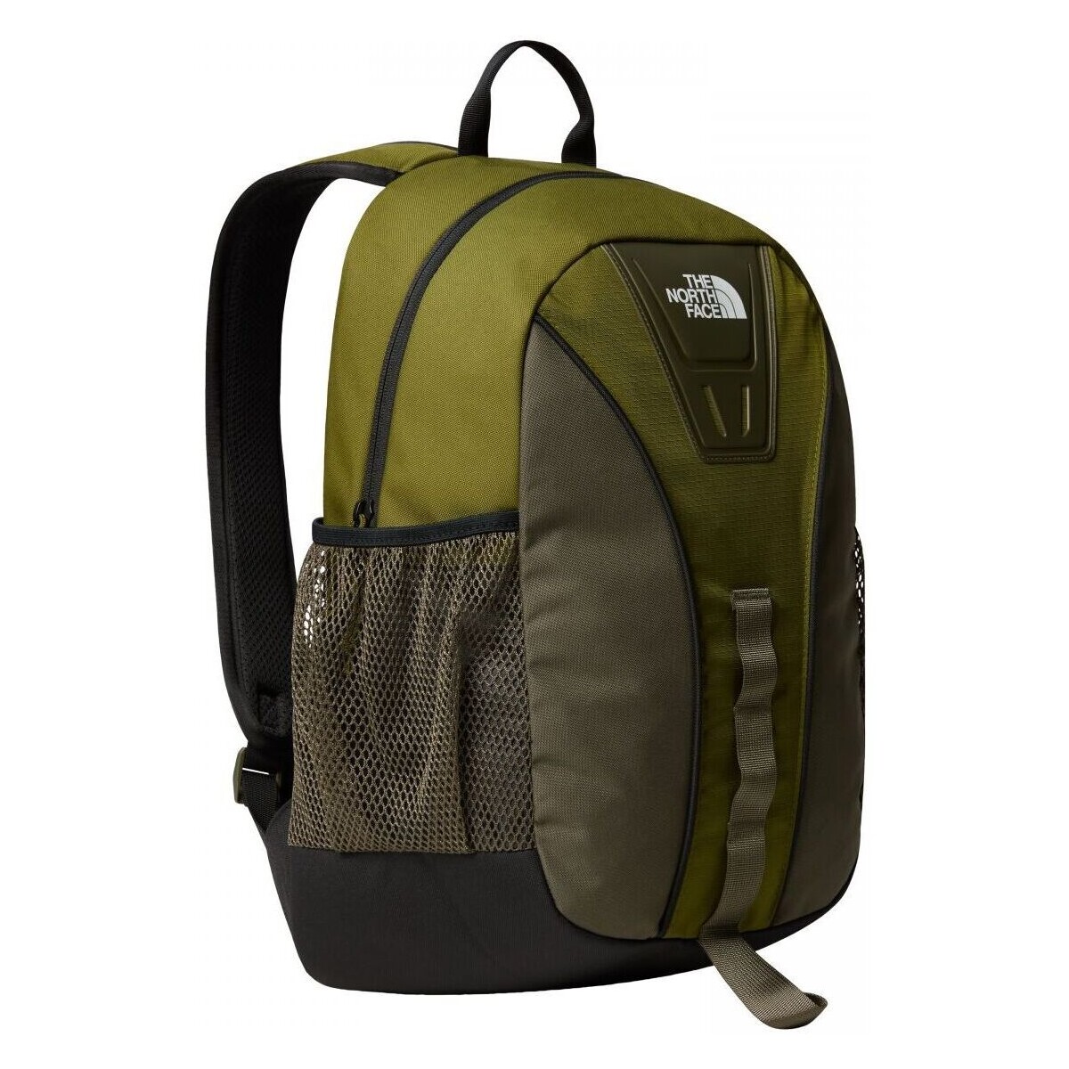 Sacs Sacs à dos The North Face NF0A87GG DAYPACK-RMO FOREST OLIVE Vert