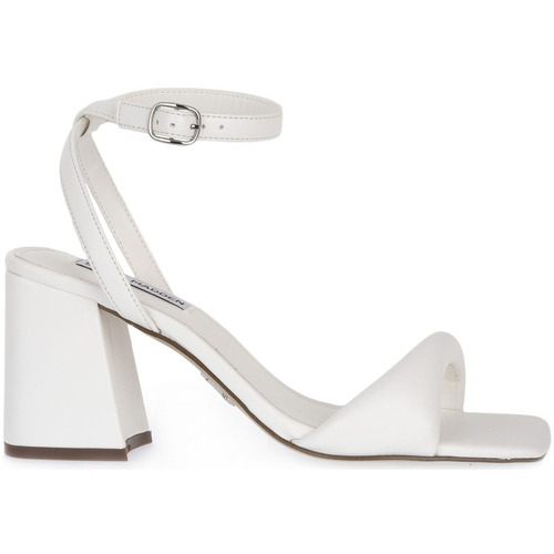 Chaussures Femme Sandales et Nu-pieds Steve Madden BIBI WHITE Blanc