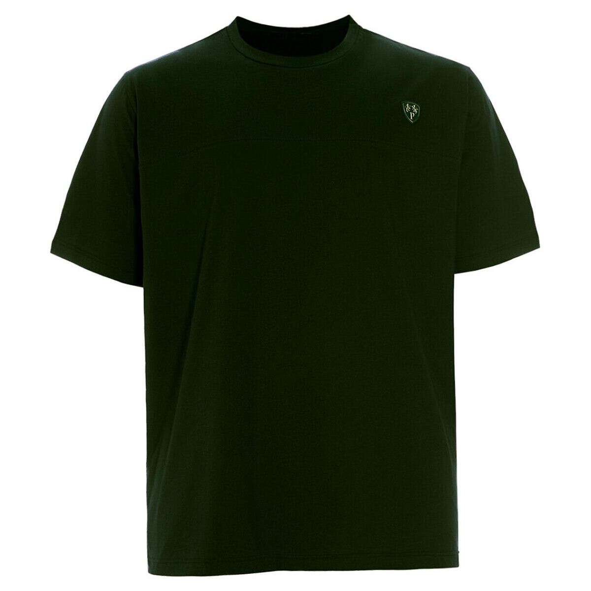 Vêtements Homme T-shirts manches courtes Max Fort P24450 Vert