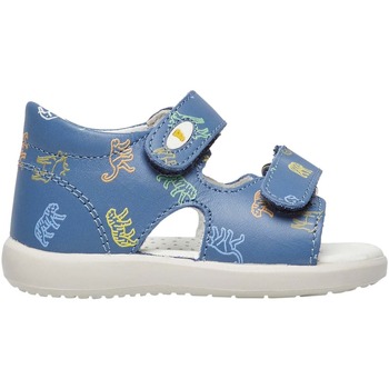 Chaussures Garçon Objets de décoration Falcotto Sandales ouvertes à scratch avec animaux NEW RIVER Bleu