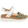 Chaussures Femme Sandales et Nu-pieds Pikolinos W4N 0968C3 PALMA MINT Vert