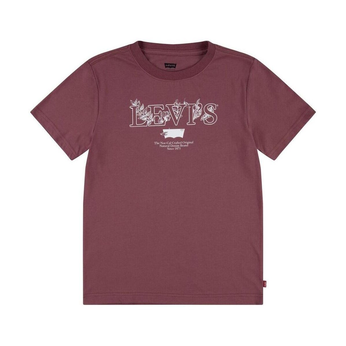 Vêtements Garçon T-shirts & Polos Levi's  Rouge