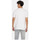 Vêtements Homme T-shirts manches courtes Levi's LEVIS - CLASSIC GRAPHIC T-SHIRT  Blanc