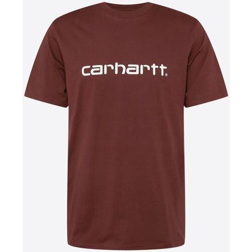 Vêtements Homme T-shirts & Polos Carhartt T-SHIRT Marron Homme Wip Script Autres