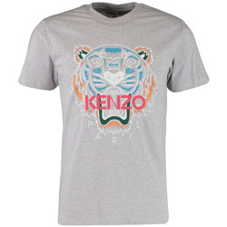 Vêtements Homme T-shirts & Polos Kenzo T-SHIRT Homme tigre gris Gris