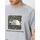 Vêtements Homme T-shirts & Polos The North Face T-SHIRT  Homme imprimé Gris Gris