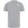 Vêtements Homme T-shirts & Polos The North Face T-SHIRT  Homme imprimé Gris Gris