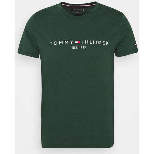 Vêtements Homme T-shirts & Polos Tommy Hilfiger T-SHIRT Homme est 1985 Vert Vert