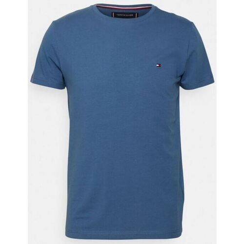 Vêtements Homme T-shirts & Polos Tommy Jeans TOMMY HILFIGER T-SHIRT Homme original Blue Coast Bleu