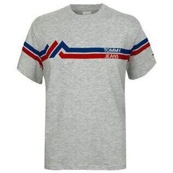 Vêtements Homme T-shirts & Polos Tommy Jeans T-SHIRT Stripe Mountain Tee Homme gris Gris