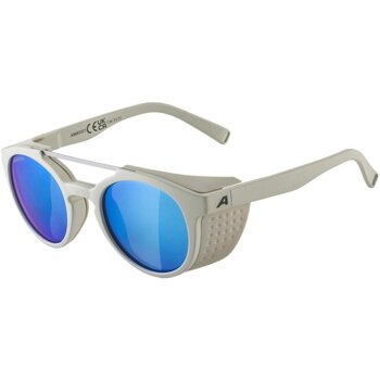 lunettes de soleil alpina  - 