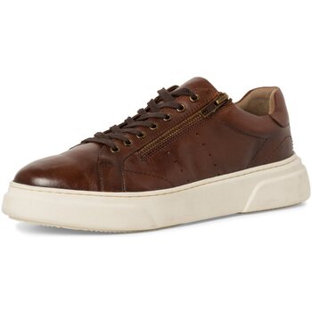 Chaussures Homme Baskets mode Marco Tozzi  Marron