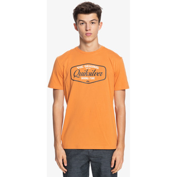 Vêtements Homme T-shirts manches courtes Quiksilver Cut To Now Orange