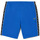 Vêtements Homme Shorts / Bermudas Lacoste Short Bleu