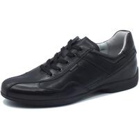 Chaussures Homme Derbies & Richelieu NeroGiardini E400175U Golf Noir