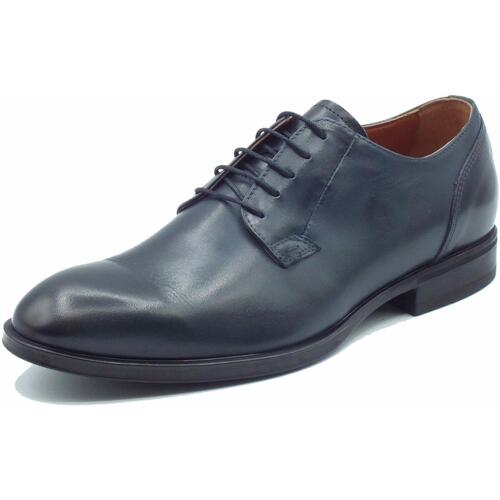 Chaussures Homme Derbies & Richelieu NeroGiardini E400141UE Kenia Bleu