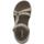Chaussures Femme Sandales et Nu-pieds Skechers 141451 Sublime Beige