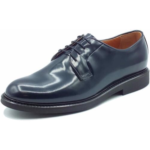 Chaussures Homme Derbies & Richelieu NeroGiardini E400151UE Wembley Bleu