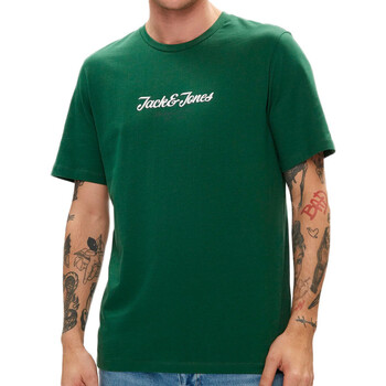 Vêtements Homme T-shirts & Polos Jack & Jones 12248600 Vert