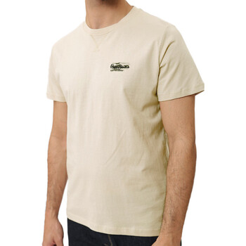 Vêtements Homme T-shirts manches courtes Pepe jeans PM509222 Beige