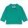 Vêtements Femme Pulls Wild Pony Knit 10603 - Green Vert