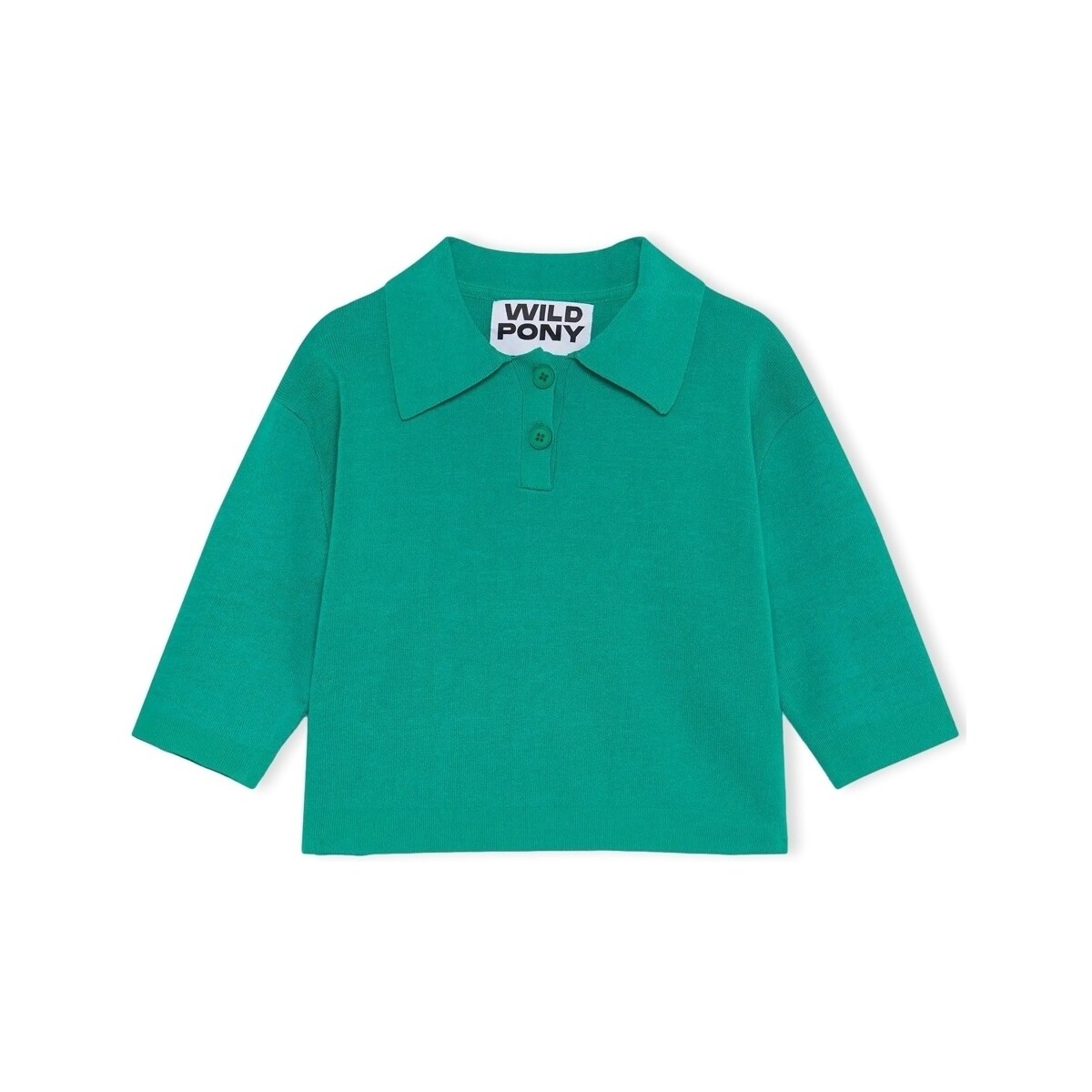 Vêtements Femme Pulls Wild Pony Knit 10603 - Green Vert