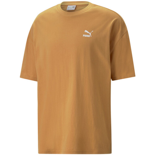 Vêtements Homme T-shirts manches courtes Puma 538070-30 Orange