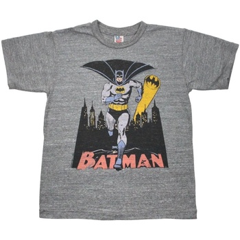 Vêtements Enfant T-shirts manches courtes Junk Food Bat Signal Gris