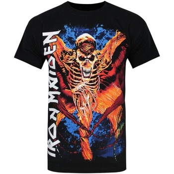Vêtements Homme T-shirts manches longues Iron Maiden Vampyr Noir