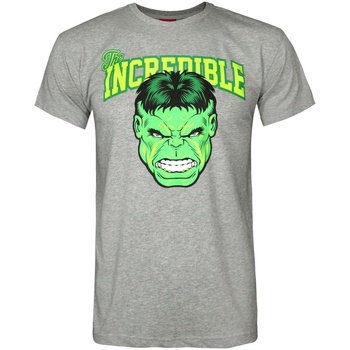 Vêtements Homme T-shirts manches longues Hulk Incredible Gris