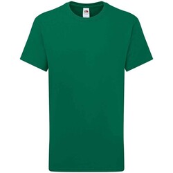 Vêtements Enfant T-shirts manches courtes Fruit Of The Loom Iconic 195 Premium Vert