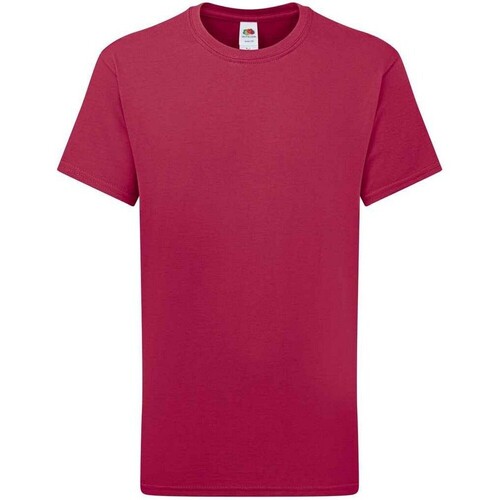 Vêtements Enfant T-shirts manches courtes Fruit Of The Loom Iconic 195 Premium Multicolore