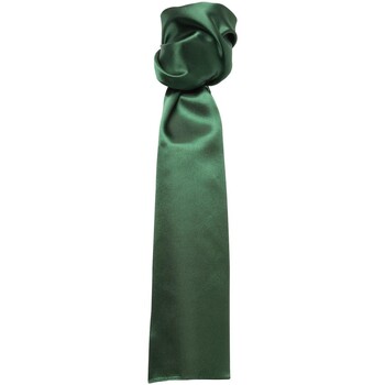 Vêtements Cravates et accessoires Premier Colours Vert