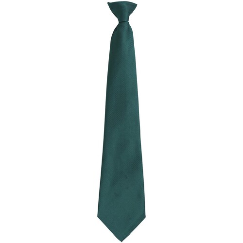 Vêtements Cravates et accessoires Premier Colours Fashion Vert