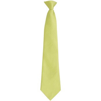 Vêtements Cravates et accessoires Premier PR785 Vert
