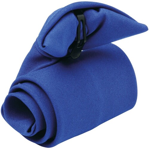 Vêtements Cravates et accessoires Premier PR710 Bleu