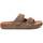 Chaussures Homme Sandales et Nu-pieds Xti 14255302 Marron