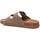 Chaussures Homme Sandales et Nu-pieds Xti 14255302 Marron