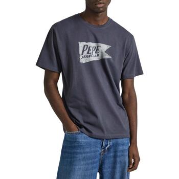 Vêtements Homme T-shirts manches courtes Pepe Worry jeans  Gris