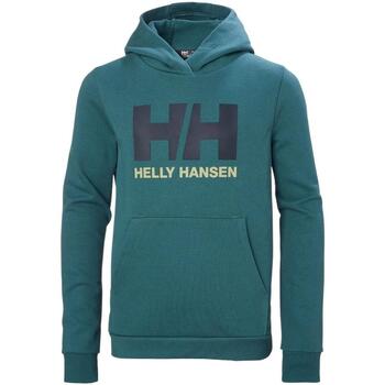 Vêtements Garçon Sweats Helly Hansen  Vert
