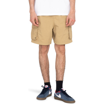Vêtements Homme puff-sleeve Shorts / Bermudas Element Chillin Cargo Hybrid 18