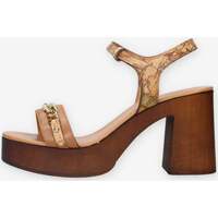 Chaussures Femme Sandales et Nu-pieds Alviero Martini Z0791-578B-0970 Marron