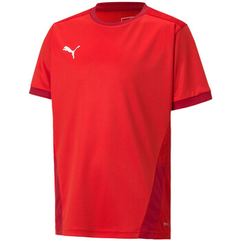 Vêtements Garçon T-shirts & Polos Puma 704160-01 Rouge